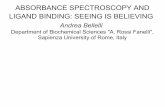 ABSORBANCE SPECTROSCOPY AND LIGAND BINDING: SEEING IS ...