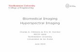 Biomedical Imaging Hyperspectral Imaging