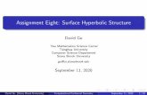 Assignment Eight: Surface Hyperbolic Structure