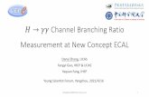 H→γγ Channel Branching Ratio Measurement at New Concept