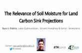 The Relevance of Soil Moisture for Land Carbon Sink ...