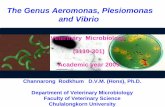The Genus Aeromonas, Plesiomonas and Vibrio