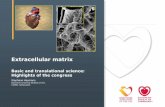 Extracellular matrix - European Society of Cardiology - Welcome