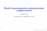 Motif representation using position weight matrix
