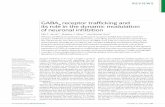GABA receptor trafficking and its role in the dynamic modulation of neuronal inhibition