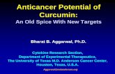 Anticancer Potential of Curcumin