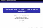 THE DARK SIDE OF THE COSMOLOGICAL CONSTANT