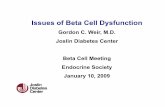 Issues of Beta Cell Dysfunction
