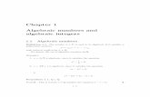 Chapter 1 Algebraic numbers and algebraic integers