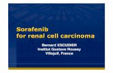 Sorafenib for renal cell carcinoma - Dra. Eloiza Quintela