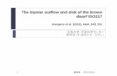 The bipolar outflow and disk of the brown dwarf ISO217