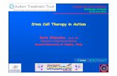 Stem Cell Therapy in Autism