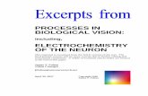 PROCESSES IN BIOLOGICAL VISION - The Complete Neural System