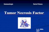 Tumor Necrosis Factor - u n i t o . i t