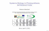 Systems Biology in Photosynthesis INTRODUCTION
