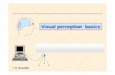 Image aquisition system Visual perception basics