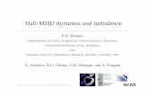 Hall-MHD dynamos and turbulence