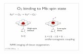 O binding to Mb: spin state