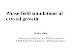 Phase-field simulations of crystal growth