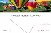 Intensity Frontier Overview