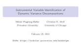 Instrumental Variable Identification of Dynamic Variance ...