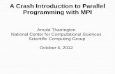 A Crash Introduction to Parallel Programming with MPI