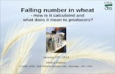 Falling number in wheat - USDA
