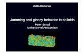 Jamming and glassy behavior in colloids