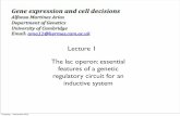 Lecture 1 The lac operon: essential features of a genetic regulatory