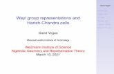 Weyl group representations and Harish-Chandra cells