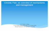 Chronic Pain: an overview of mechanisms and management