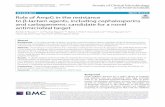 Role of AmpG in the resistance to β-lactam agents ...