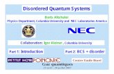 Disordered Quantum Systems