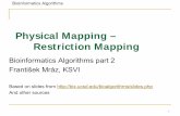 Physical Mapping â€“ Restriction Mapping