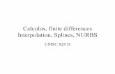 Calculus, finite differences Interpolation, Splines, NURBS
