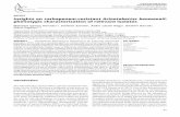 ARTICLE Insights on carbapenem-resistant Acinetobacter ...