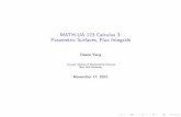 MATH-UA 123 Calculus 3: Parametric Surfaces, Flux Integrals