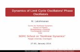 Dynamics of Limit Cycle Oscillators/ Phase Oscillators