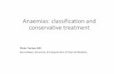 Anaemias - classification and conservative treatment