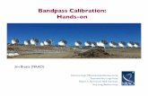 Bandpass Calibration: Hands-on