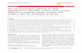 RESEARCH Open Access 4-desaturation pathway for DHA ...