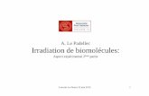 A. Le Padellec Irradiation de biomolécules