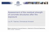 Assessment of the residual strength of concrete structures