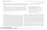 Effect of yeast purified β-glucan in experimental ...