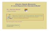 Electric Dipole Moments: A Look Beyond the Standard Model