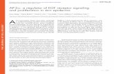 AP-2α: a regulator of EGF receptor signaling and proliferation in skin