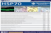 StressMarq HSP70 flyer (MBIO)