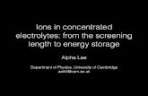Ions in concentrated electrolytes: from the screening ...