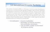 3 4 Immobilized Enzyme Systems3.4 Immobilized Enzyme Systems