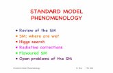 STANDARD MODEL PHENOMENOLOGY